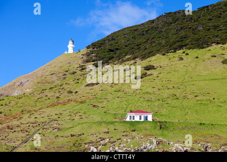 D'une croisière sur la baie des îles, Nouvelle-Zélande - Cape Reigna 2 Banque D'Images