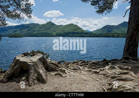 Vue de Friars Crag de l'autre côté du lac Derwentwater vers Catbells en été Keswick Cumbria Angleterre Royaume-Uni Grande-Bretagne GB Banque D'Images