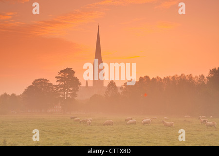 La cathédrale de Salisbury dans l'ouest de l'eau 68 London Meadows, à l'aube. Banque D'Images