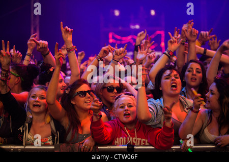 Foule lors d'un festival de musique Banque D'Images