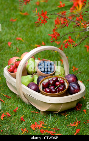 Trug récoltés de fruits d'été y compris : bleuets, cerises, pommes, poires, fraises, prunes Banque D'Images