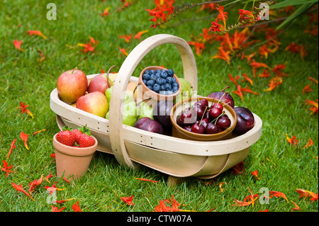 Trug récoltés de fruits d'été y compris : bleuets, cerises, pommes, poires, fraises, prunes Banque D'Images