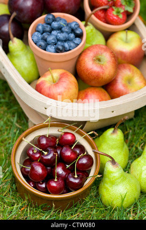 Trug récoltés de fruits d'été y compris : bleuets, cerises, pommes, poires, fraises, prunes Banque D'Images