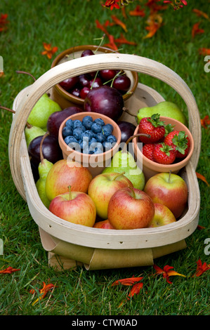 Trug récoltés de la fin de l'été fruits britannique y compris : bleuets, cerises, pommes, poires, fraises, prunes Banque D'Images