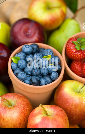 L'été ou l'automne récoltés les fruits y compris : bleuets, fraises, pommes et poires Banque D'Images