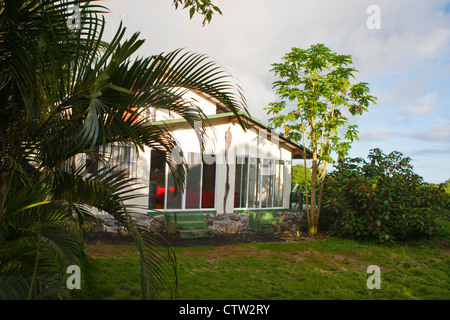 Semilla Verde Guest House, l'île de Santa Cruz, Galapagos, Equateur Banque D'Images