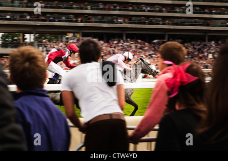 Chevaux au Royal Ascot. Banque D'Images