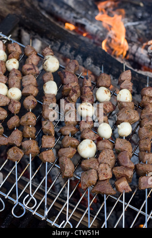 Brochettes de boeuf shish kebab la cuisson à un feu de camp à chaud. Banque D'Images