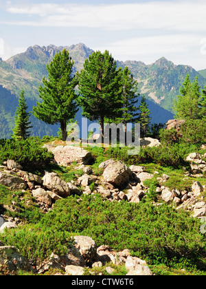 Dolomiten, Passo Manghen, Telve, le Trentin, le Tyrol du Sud, Italie Banque D'Images