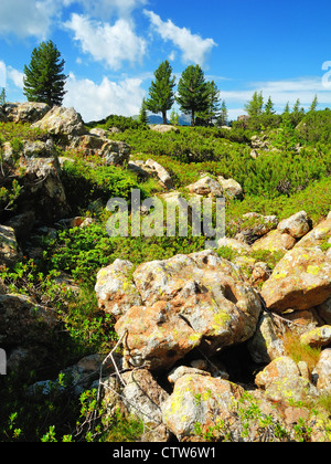 Rouged mountain wilderness sur haut de Passo Manghen, Dolomiten, Telve, le Trentin, le Tyrol du Sud, Italie Banque D'Images