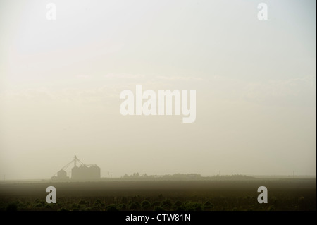 La poussière d'un lot d'alimentation pour le bétail souffle en une ferme voisine à Leoti, Kansas, États-Unis. Banque D'Images