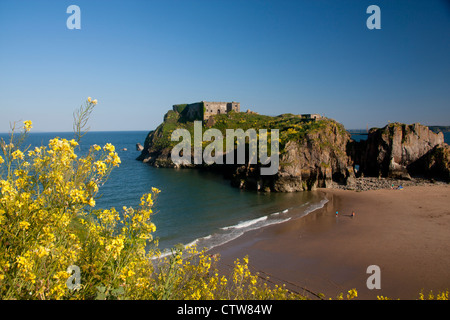 St Catherine's Island et plage de Tenby et Château de l'ouest de Pembrokeshire Wales UK Banque D'Images