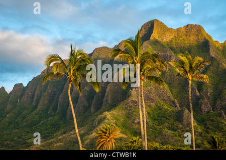 Les spectaculaires crêtes de mo'o O Kapu, Haloa Kualoa, Oahu, Hawaii Banque D'Images