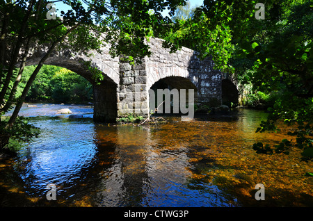 Fingle Bridge, un pont du 18ème siècle, un cheval de bât local beauty spot près de Drewsteignton, Devon Banque D'Images