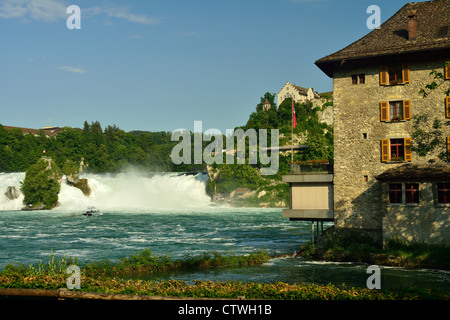 Chutes du Rhin près de Schaffhausen Banque D'Images