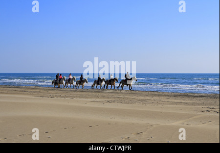 Agréable promenade sur la plage Espiguette, Le Grau du Roi, Languedoc Roussillon, France Banque D'Images