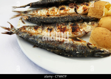 Sardines grillées sont servis sur un plateau à Peniche, Portugal. Banque D'Images