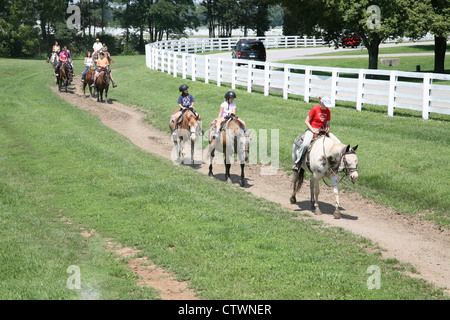 Kentucky Horse Breeders Farm, près de Lexington Kentucky;et le Horse Park au Kentucky Kentucky;;USA;Nord Banque D'Images