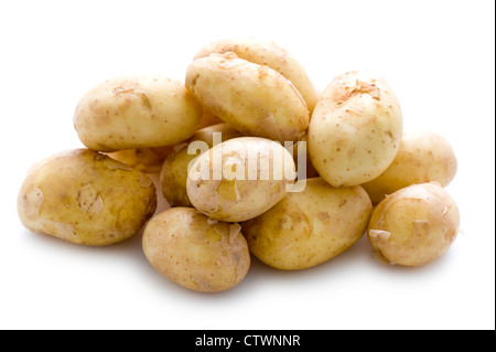 Maris Peer de pommes de terre nouvelles isolated on white Banque D'Images