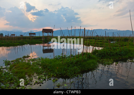 Abris agricoles entourant le lac Inle - Myanmar Banque D'Images