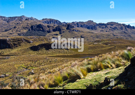 Beau paysage du Parque Cajas, en Équateur. Banque D'Images