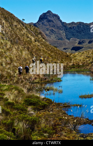 Beau paysage du Parque Cajas, en Équateur. Banque D'Images