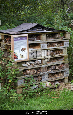 Espace à louer - faune pile, respectueux de la faune d'une manière d'attirer des reptiles, amphibiens, petits mammifères, insectes au jardin Banque D'Images