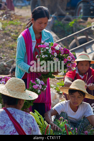 Des fleurs fraîches pour la vente au marché hebdomadaire à HASPRES THAUK - Lac Inle, MYANMAR Banque D'Images