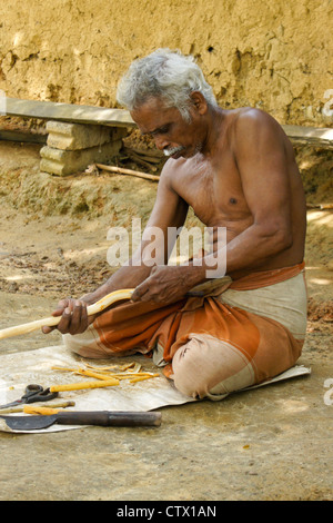 Man peeling Cannelle Écorce d'une branche, Sri Lanka Banque D'Images