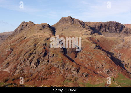 Le Langdale Pikes montagnes comme vu de Lingmoor tomba, Elterwater, Lake District, Cumbria, England, UK Banque D'Images