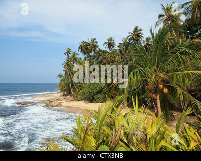 Plage tropicale intacte avec belle végétation dans le National Wildlife Refuge de Gandoca Manzanillo, Caraïbes, Costa Rica Banque D'Images