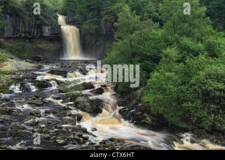 Thornton vigueur sur la rivière Twiss en été près de Ingleton dans le Yorkshire Dales de l'Angleterre Banque D'Images