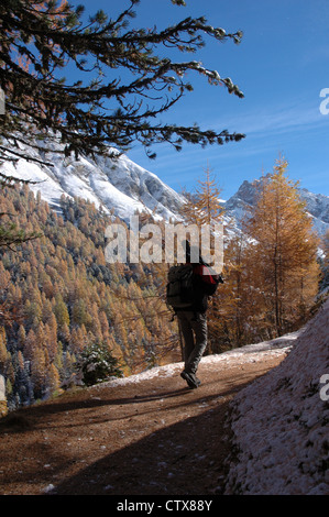 Randonneur dans le Val Trupchun, Parc National Suisse, Grisons, Suisse Banque D'Images