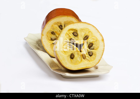 Concombre musqué Sicana odorifera (fruits) sur fond blanc Banque D'Images