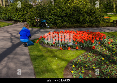 Photographe avec appareil photo photographiant des tulipes aux jardins de Keukenhof aux pays-Bas, par un froid jour de printemps. Banque D'Images