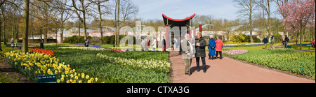 Panorama de l'immense serre Willem-Alexander dans les jardins de Keukenhof aux pays-Bas. Banque D'Images