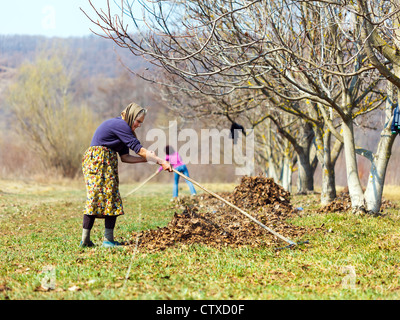 Hauts femme rurale et sa fille avec des râteaux, le nettoyage de printemps dans un verger de noyers Banque D'Images