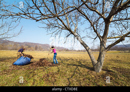 Hauts femme rurale et sa fille avec des râteaux, le nettoyage de printemps dans un verger de noyers Banque D'Images