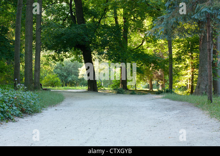 Journée d'été le plus chaud dans le parc. Fraîcheur de l'ombre. Paysage Banque D'Images