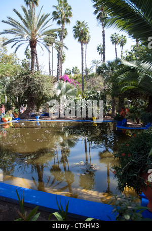 Le jardin Majorelle est un jardin botanique de 12 acres de l'artiste et jardin paysage à Marrakech, Maroc. Banque D'Images