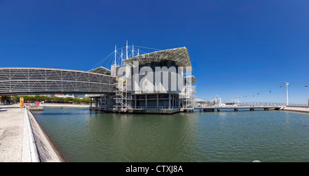 L'Océanarium de Lisbonne Oceanarium, le deuxième plus grand au monde et le plus grand en Europe. Lisbonne, Portugal. Banque D'Images