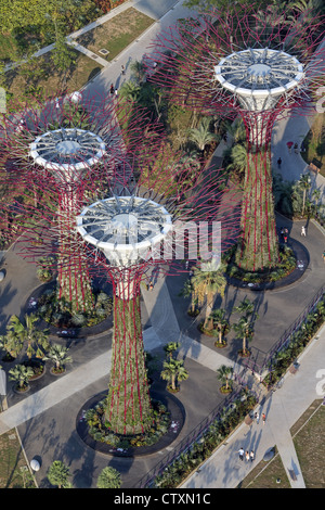 Vue aérienne de Supertrees à jardins au bord de la baie près de Marina Bay à Singapour. Banque D'Images