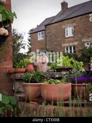 Chalet jardin collection de feuilles de salade, d'annuelles et vivaces récipient jardinage dans des contenants d'argile, Oxfordshire, UK Banque D'Images