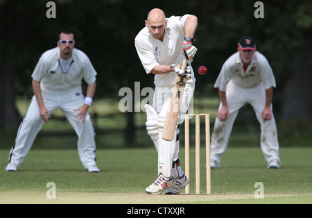 Un batteur en action lors d'un match de cricket dans le village a permis de l'anglais. Photo par James Boardman. Banque D'Images