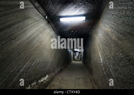 L'intérieur du corridor de la mine de sel de Turda, Roumanie Banque D'Images