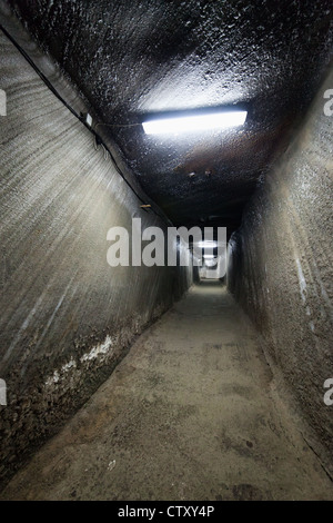 L'intérieur du corridor de la mine de sel de Turda, Roumanie Banque D'Images