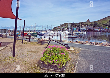 Port De Tarbert sur Kintyre en Écosse avec pontons et quais de la voile et des bateaux à moteur Banque D'Images