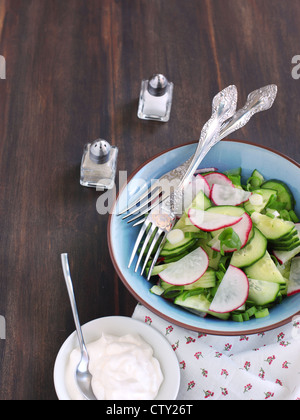 Salade de radis et de concombre avec la crème sure Banque D'Images