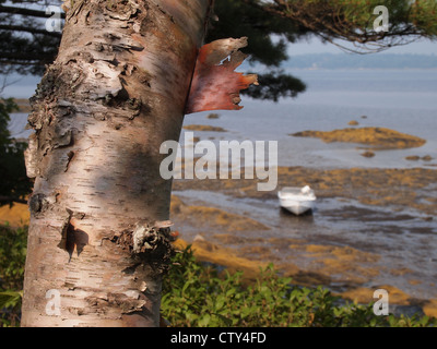 Canot dans les vasières à marée basse au point de vol, une péninsule dans la baie de Casco, Maine, le 24 juillet 2012, © Katharine Andriotis Banque D'Images