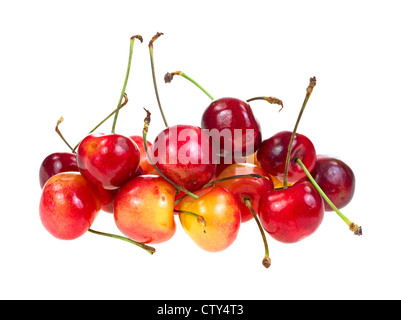 Plusieurs variétés de cerises bing Banque D'Images